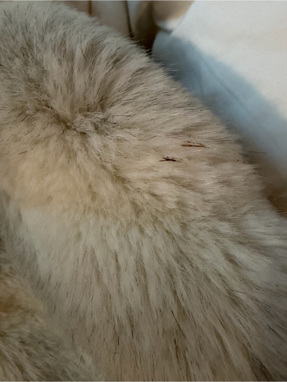 Jordache Cream Plush Faux Fur Hooded Jacket - Picture 4 of 5